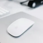 mouse