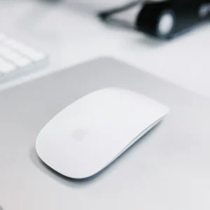 mouse