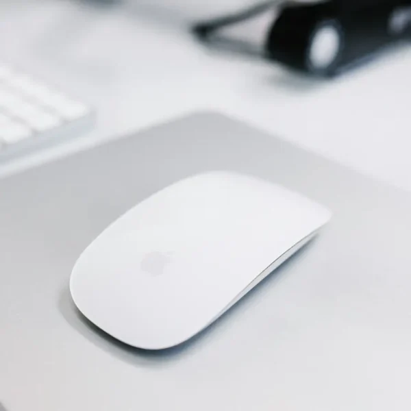 mouse